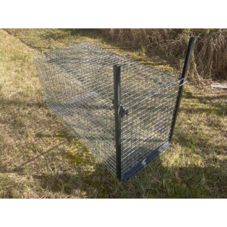 cage sanglier