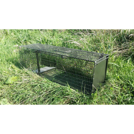 Coypu Trap