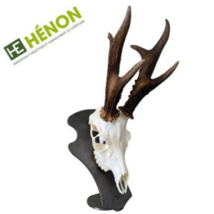  Support trophée de chasse