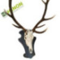 Cerf Support Trophée - Brut Cerf Support Trophée - Brut