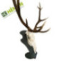 Cerf Support Trophée - Brut Cerf Support Trophée - Brut