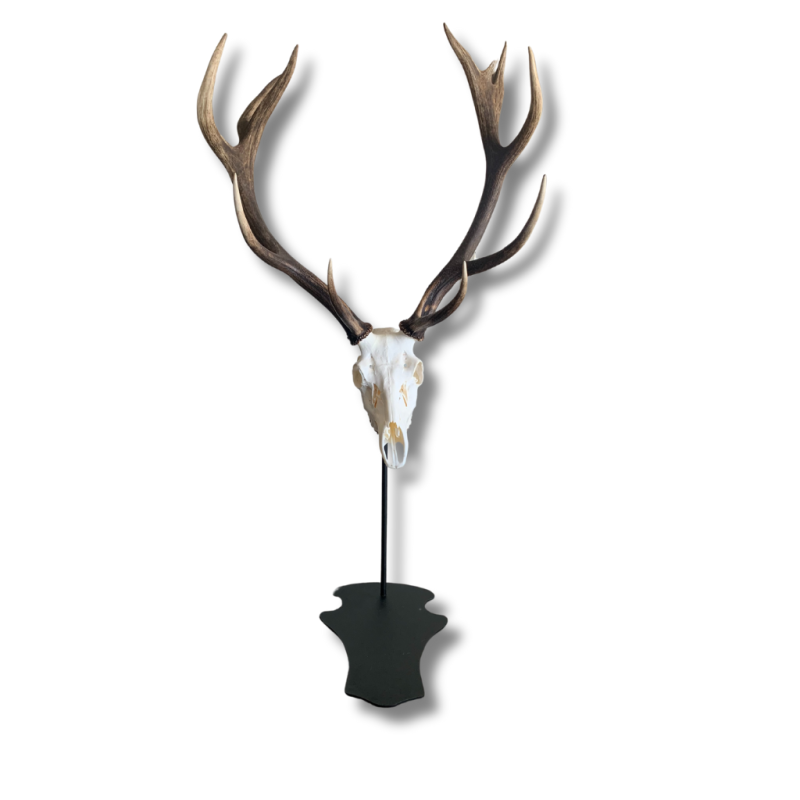 Cerf Support Trophée sur Pied - peint Cerf Support Trophée sur Pied - peint