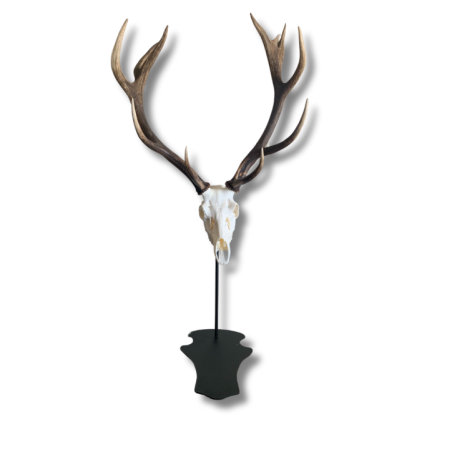 Support de trophée sur pied cerf