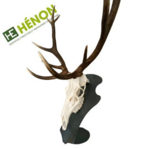  massacre cerf