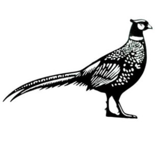 Silhouette de faisan