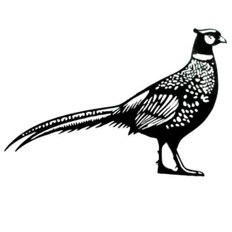 Silhouette de faisan