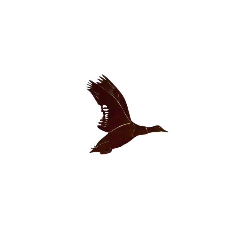 Silhouette CANARD COLVERT à accrocher - peint Silhouette CANARD COLVERT à accrocher - peint