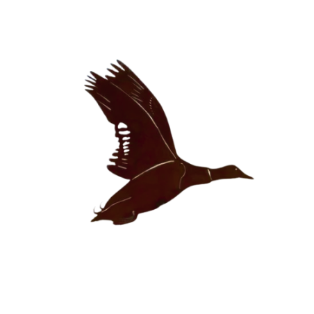 Silhouette CANARD COLVERT à accrocher - peint