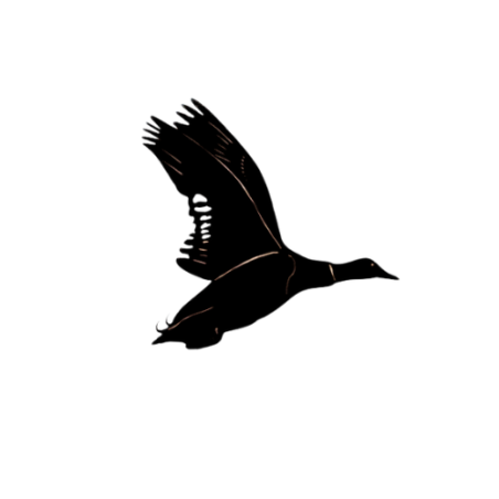 Silhouette CANARD COLVERT à accrocher - peint