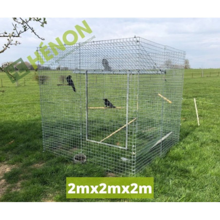 Crow Trap
