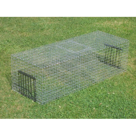Pigeon Trap