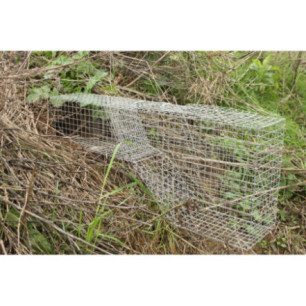 Cage à renardeaux