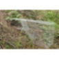 Fuchswelpen-Falle Fuchswelpen-Falle