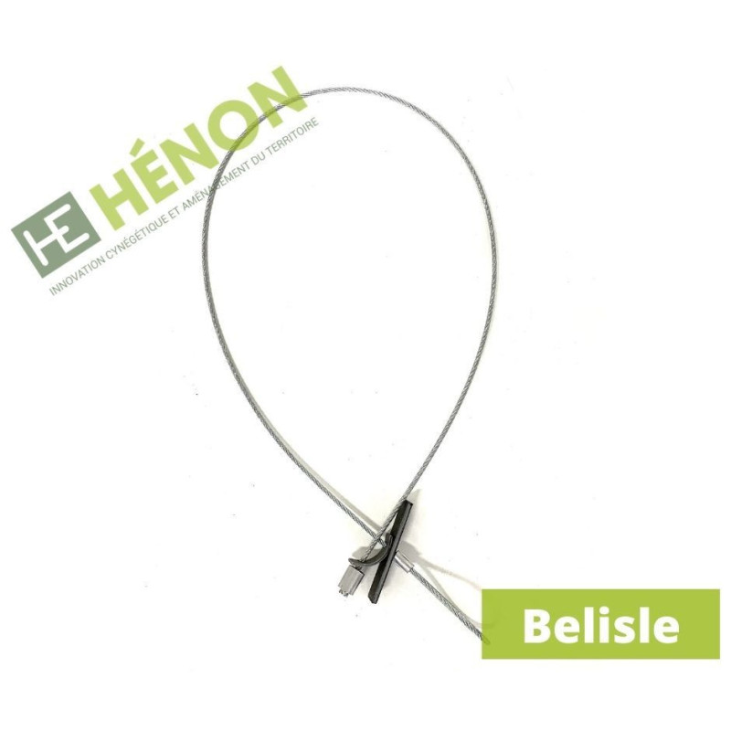 Lacet Belisle