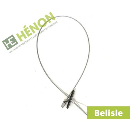  lacet belisle piege renard