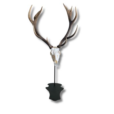 Support de trophée sur pied cerf