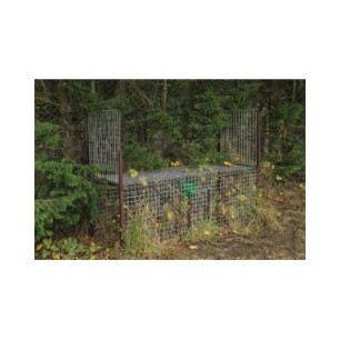  fox trap