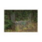 Monobloc fox trap 2 entrances Monobloc fox trap 2 entrances