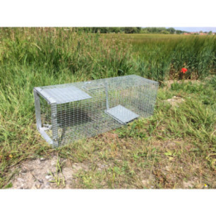  coypu trap