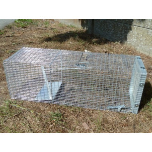  coypu trap