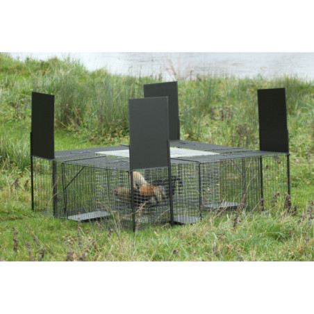 Mini poulailler pièges Renard