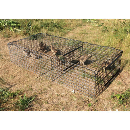 Cage de pré-lacher perdrix