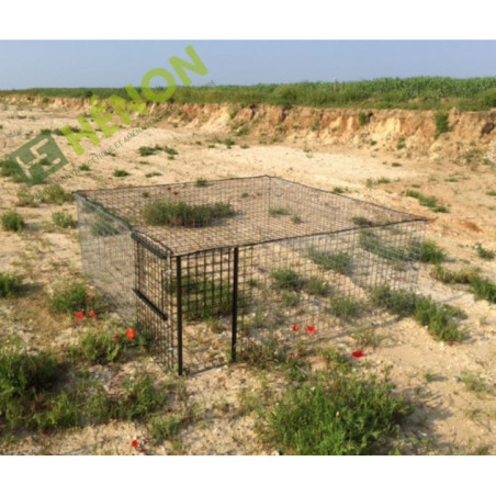  cage faisan