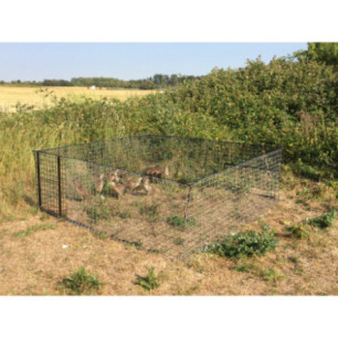 cage faisan