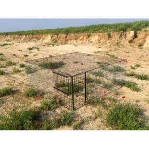  cage de pré-lacher faisan