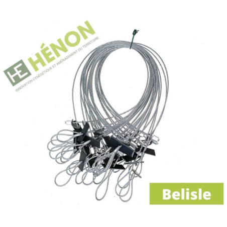  lacet belisle piege renard