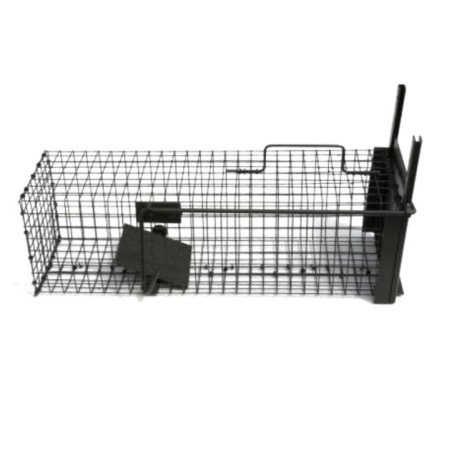 Lot 4 pièges à rats 1 entrée