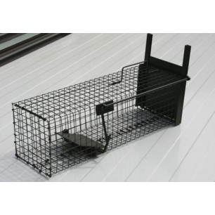  Piège a rat