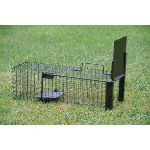  piège à rats