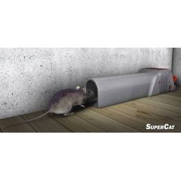 Piège à souris Piège à rats professionnel Pièges à souris efficaces Piège à  pression Roden