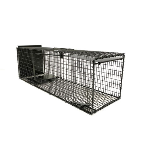 Boîte de reprise chat
