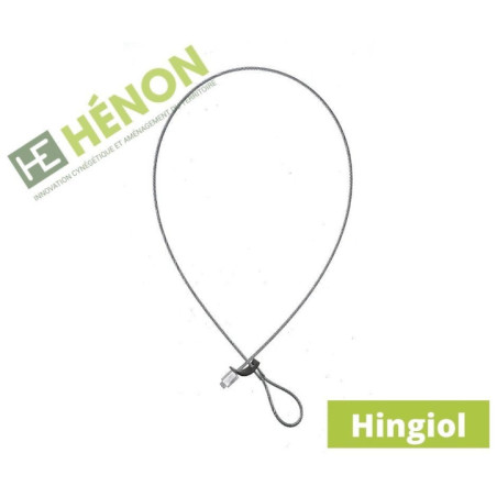  lacet hingiol piege a renard