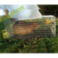 Cage Catiche multiprises Cage Catiche multiprises