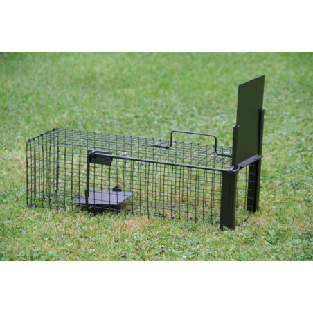 Cage piège à rat 1 entrée