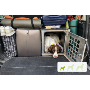  caisse de transport chien