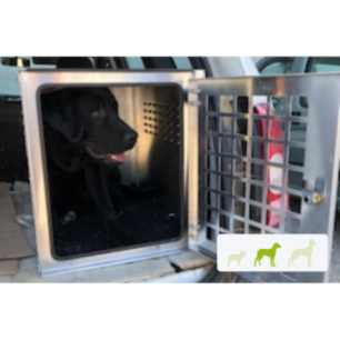  caisse transport chien