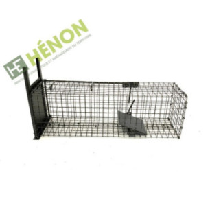  cage a rat