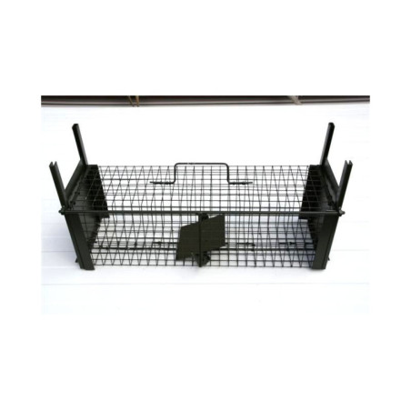 Rat trap 2 entries