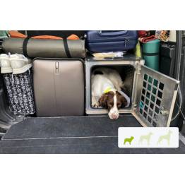 caisse de transport chien