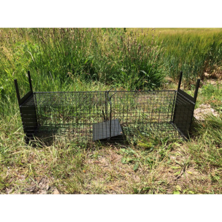 BAF 20x20x60