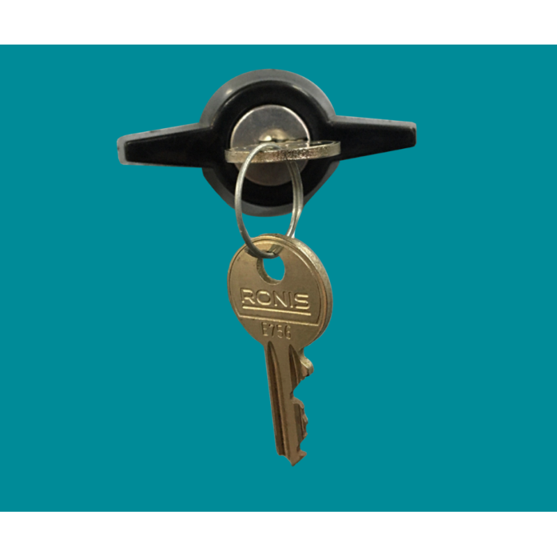 Serrure à clef pour caisse a chien Serrure à clef pour caisse a chien