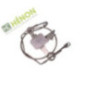 Belisle trap in stainless steel Belisle trap in stainless steel