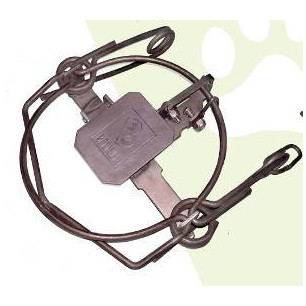 Belisle trap in stainless steel
