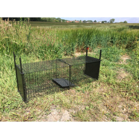 BAF 30x30x100