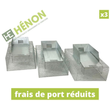  piege a rat musqué