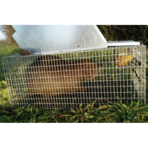  Piege a rat musqué
